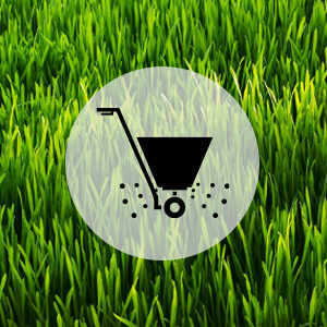 If your soil pH is too low, it will hamper growth. Applying lime neutralizes the soil acidity, allowing grass and plants to grow.