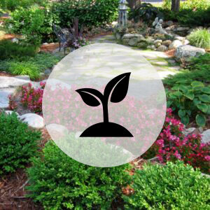 Keeping your landscape beautiful and healthy.