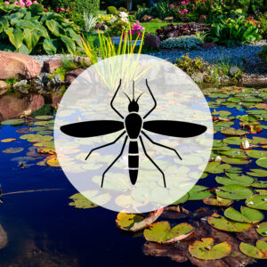 When mosquitos arrive with nice weather, they can make it unbearable.