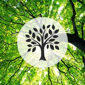 Allow for beter root function by promoting root growth which increases the health and stability of your trees.